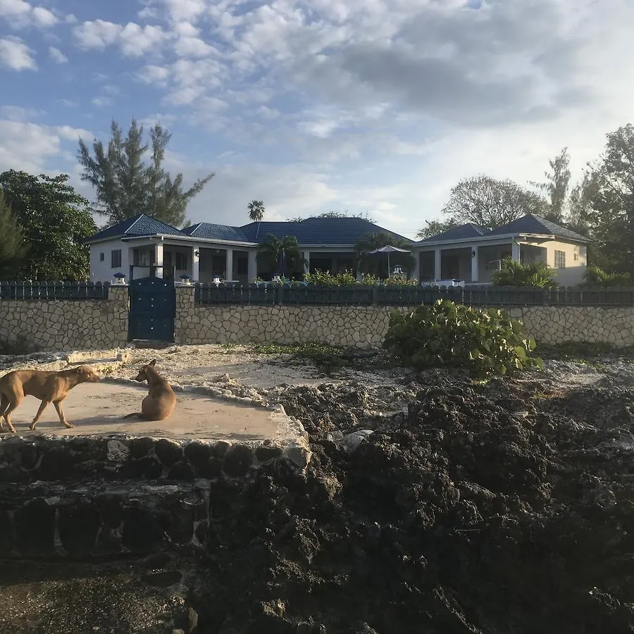 Blue Sky Villa Negril